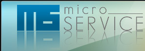 Micro Service
